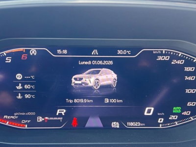 Cupra Formentor Formentor 2.0 tdi 4drive 150cv dsg (15)