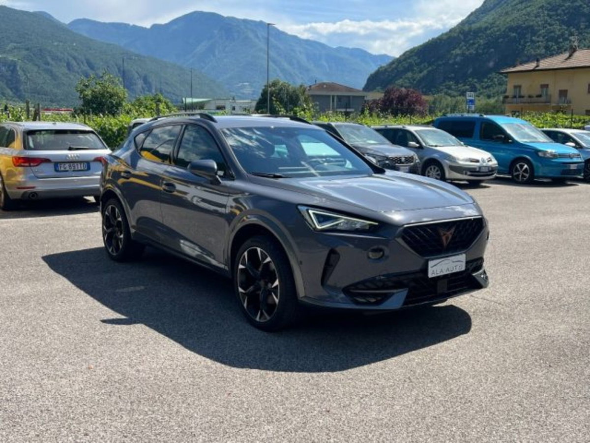 Cupra Formentor Formentor 2.0 tdi 4drive 150cv dsg (2)
