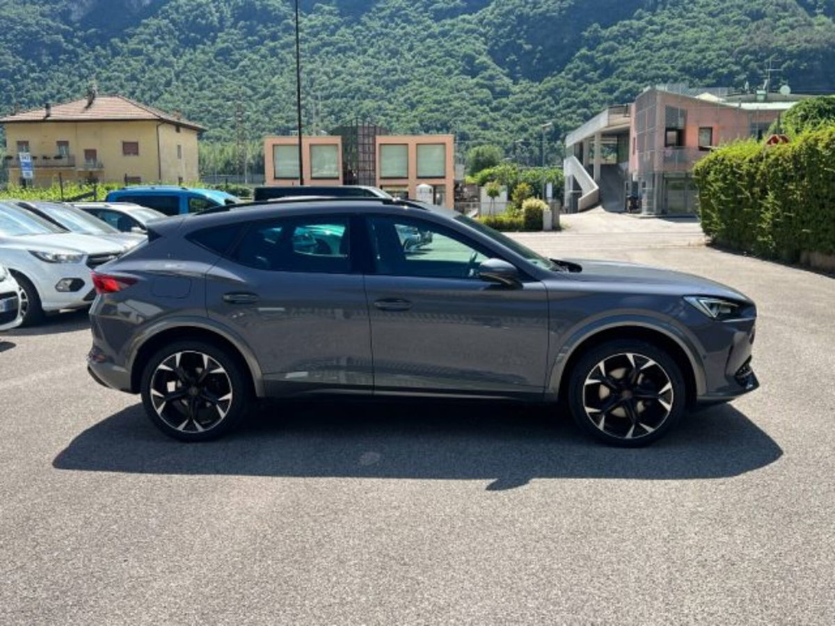 Cupra Formentor Formentor 2.0 tdi 4drive 150cv dsg (3)