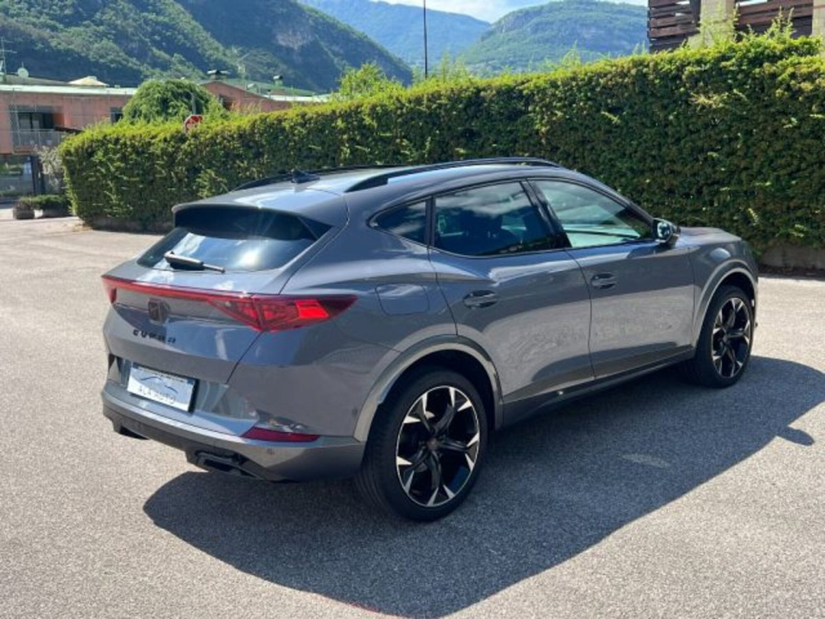 Cupra Formentor Formentor 2.0 tdi 4drive 150cv dsg (4)