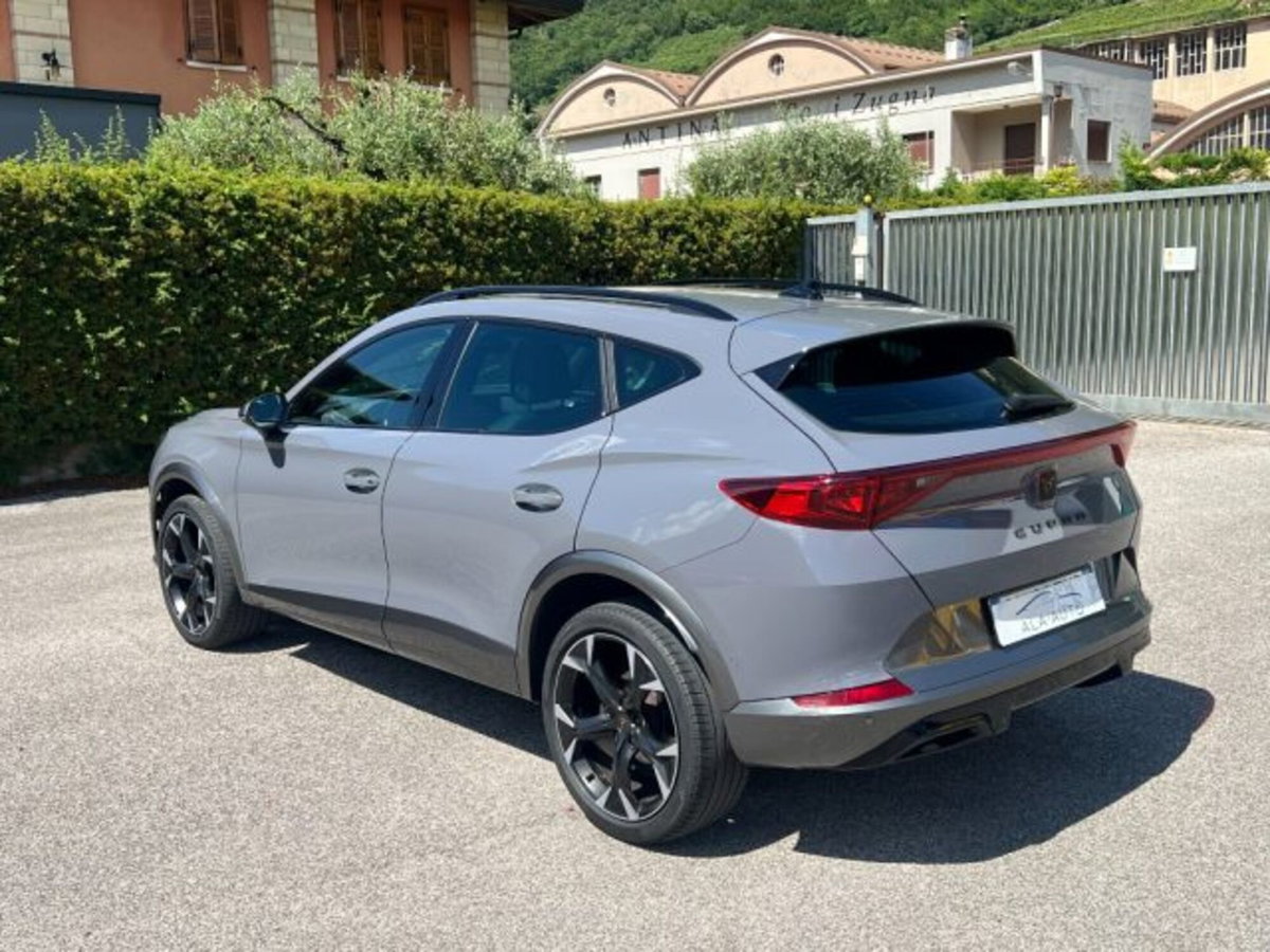 Cupra Formentor Formentor 2.0 tdi 4drive 150cv dsg (6)