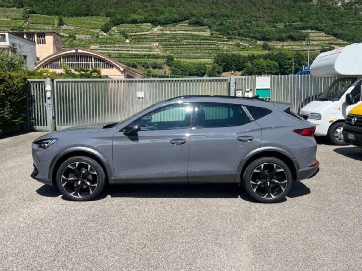 Cupra Formentor Formentor 2.0 tdi 4drive 150cv dsg (7)