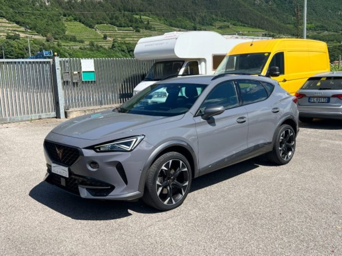 Cupra Formentor Formentor 2.0 tdi 4drive 150cv dsg (8)