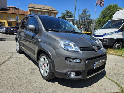 Fiat Panda Cross Cross 1.0 FireFly S&S Hybrid (3)