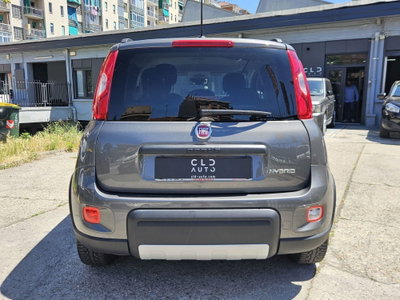 Fiat Panda Cross Cross 1.0 FireFly S&S Hybrid (5)