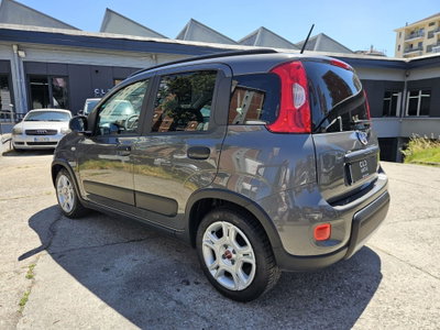 Fiat Panda Cross Cross 1.0 FireFly S&S Hybrid (6)