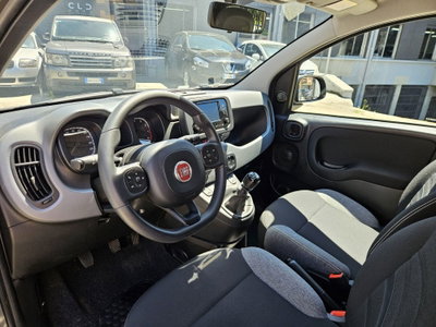 Fiat Panda Cross Cross 1.0 FireFly S&S Hybrid (7)