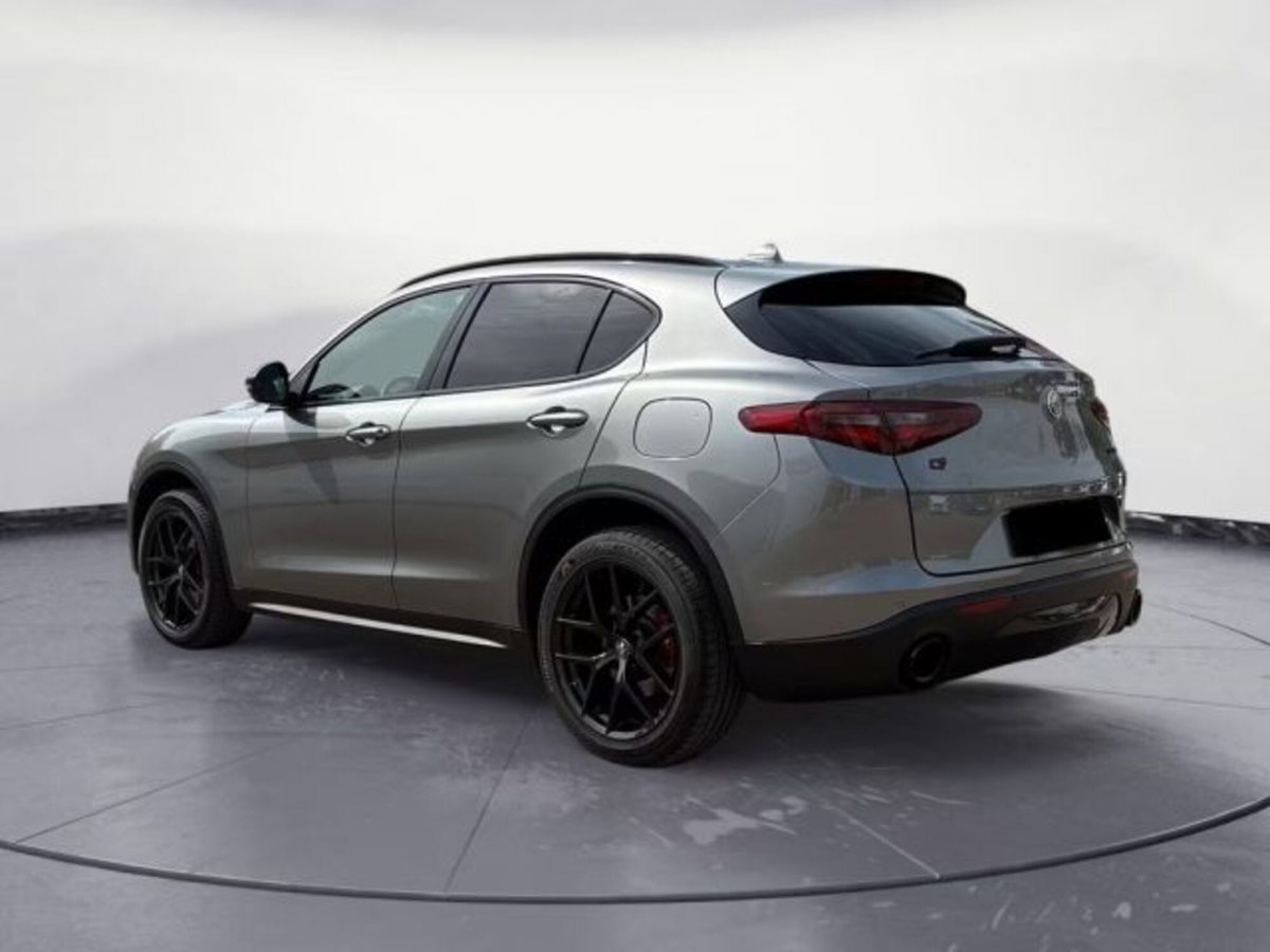Alfa Romeo Stelvio Stelvio 2.0 Turbo 200 CV AT8 Q4 Super Business (3)