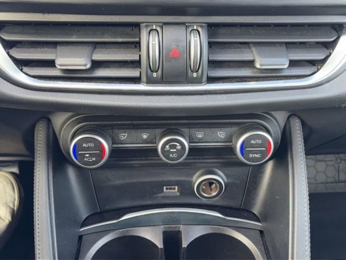 Alfa Romeo Stelvio Stelvio 2.0 Turbo 200 CV AT8 Q4 Super Business (15)