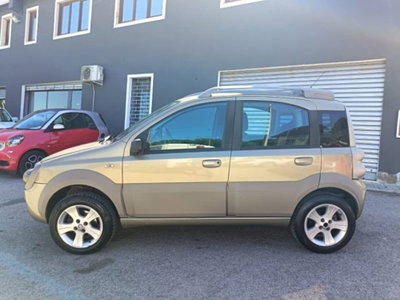 Fiat Panda 1.3 MJT 16V 4x4 Cross (4)