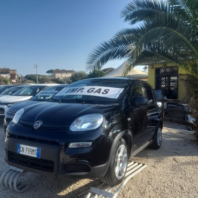 Fiat Panda 1.0 FireFly S&S Hybrid (2)
