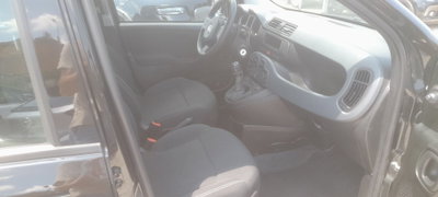 Fiat Panda 1.0 FireFly S&S Hybrid (4)
