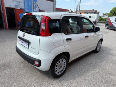 Fiat Panda 1.0 firefly hybrid s&s 70cv 5p.ti (4)