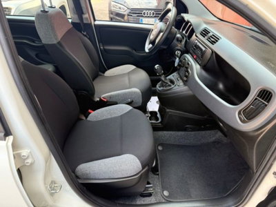 Fiat Panda 1.0 firefly hybrid s&s 70cv 5p.ti (9)