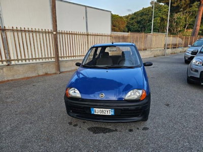 Fiat Seicento 900i cat Young (2)