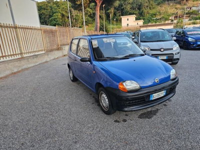 Fiat Seicento 900i cat Young (3)