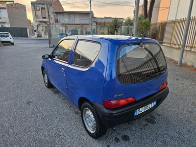 Fiat Seicento 900i cat Young (8)