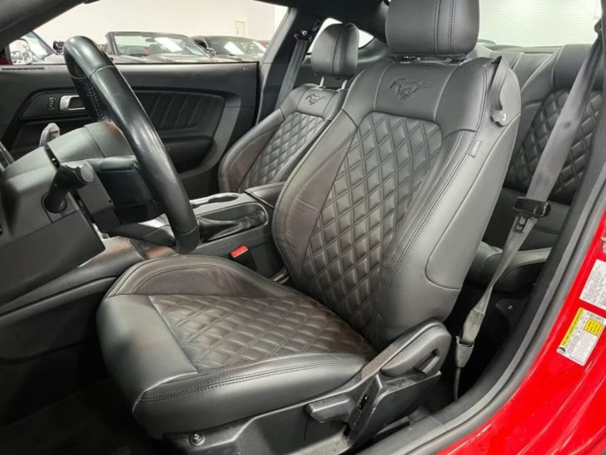 Ford Mustang Coupé Fastback 2.3 EcoBoost (12)