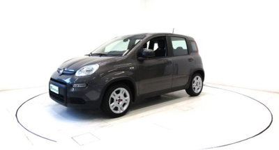 Fiat Panda 1.0 firefly hybrid s&s 70cv 5p.ti (16)