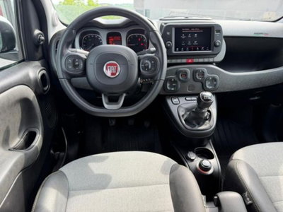 Fiat Panda Cross Cross 0.9 TwinAir Turbo S&S 4x4 (11)