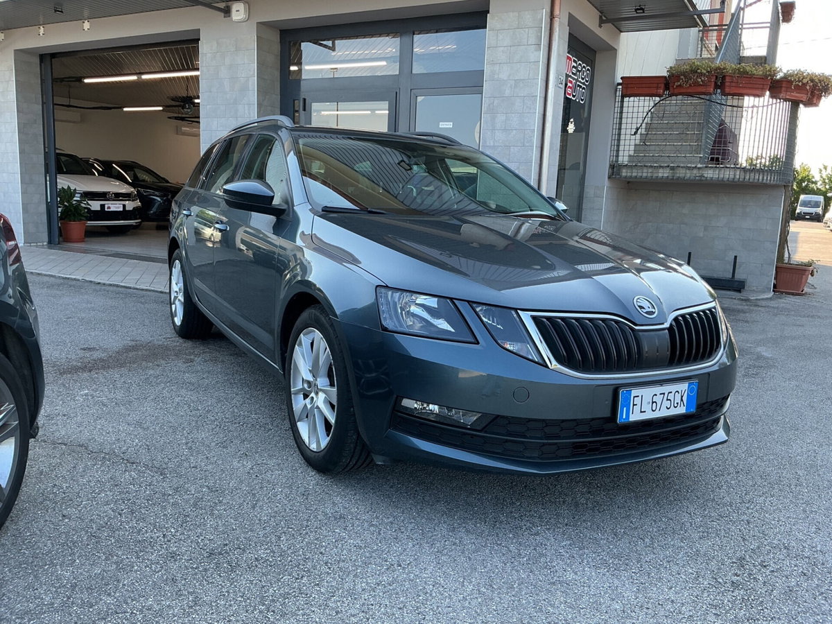Skoda Octavia Station Wagon 1.6 TDI CR 115 CV DSG Wagon Style (3)