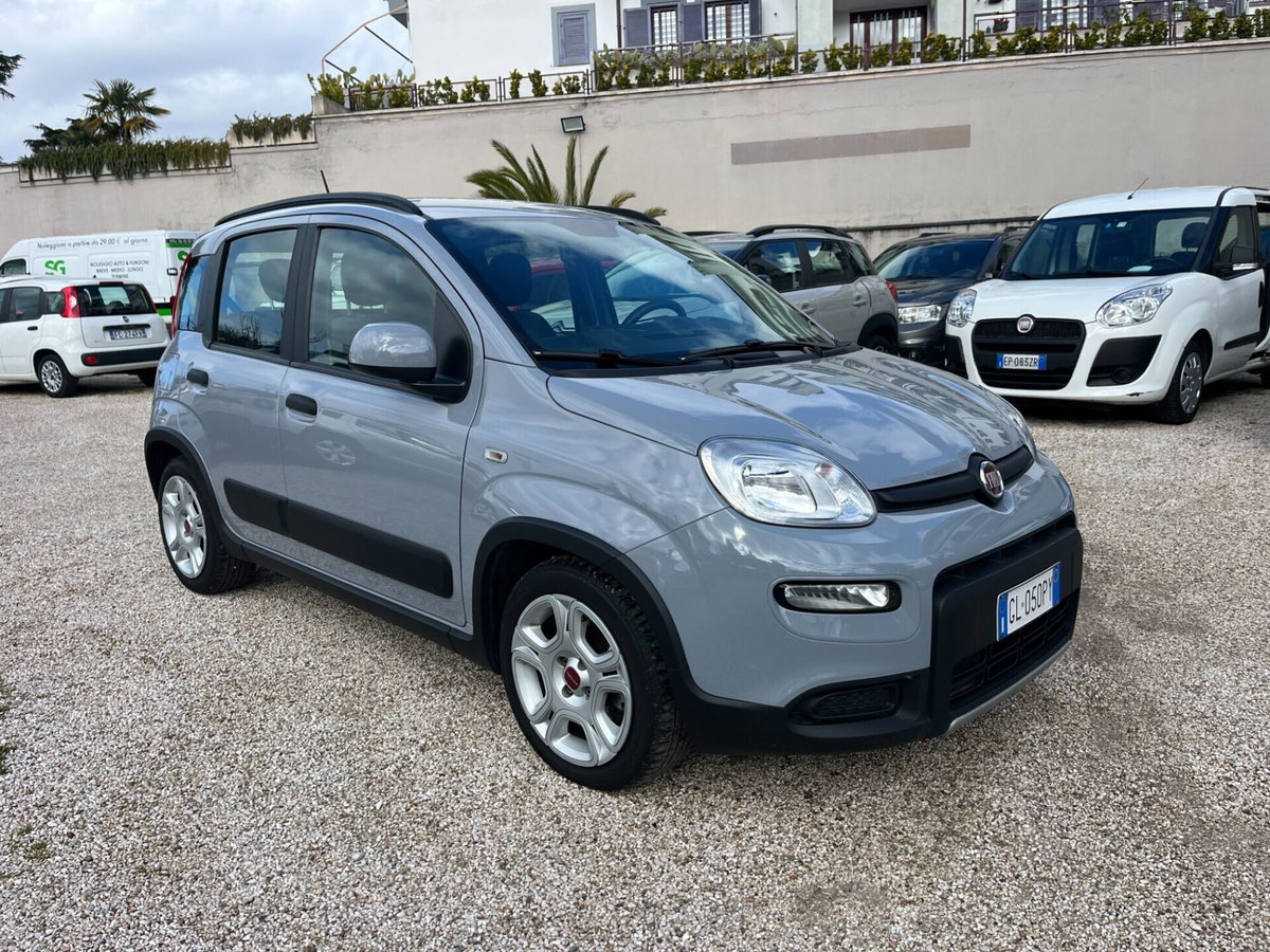 Fiat Panda Cross Cross 1.0 FireFly S&S Hybrid (2)