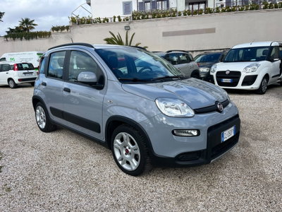 Fiat Panda Cross Cross 1.0 FireFly S&S Hybrid (2)