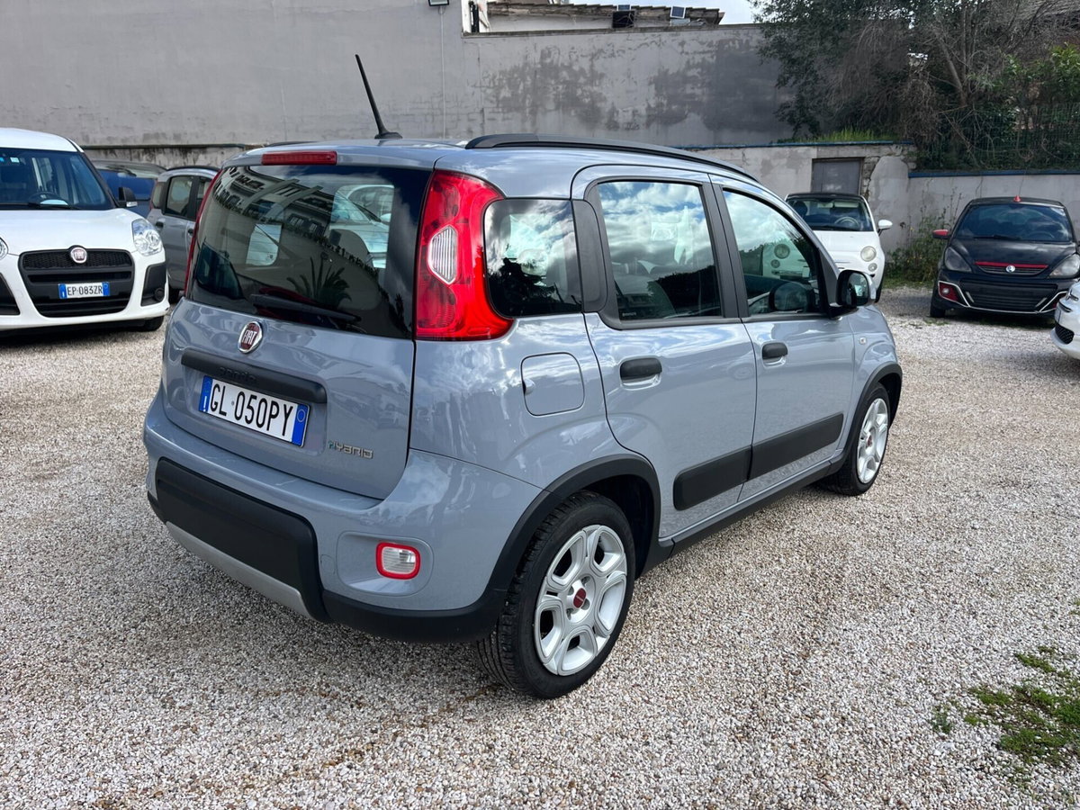 Fiat Panda Cross Cross 1.0 FireFly S&S Hybrid (4)