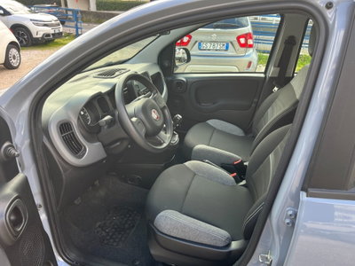 Fiat Panda Cross Cross 1.0 FireFly S&S Hybrid (9)