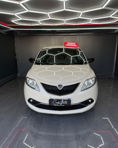 Lancia Ypsilon 1.3 MJT 16V 95 CV 5 porte S&S Platinum (3)