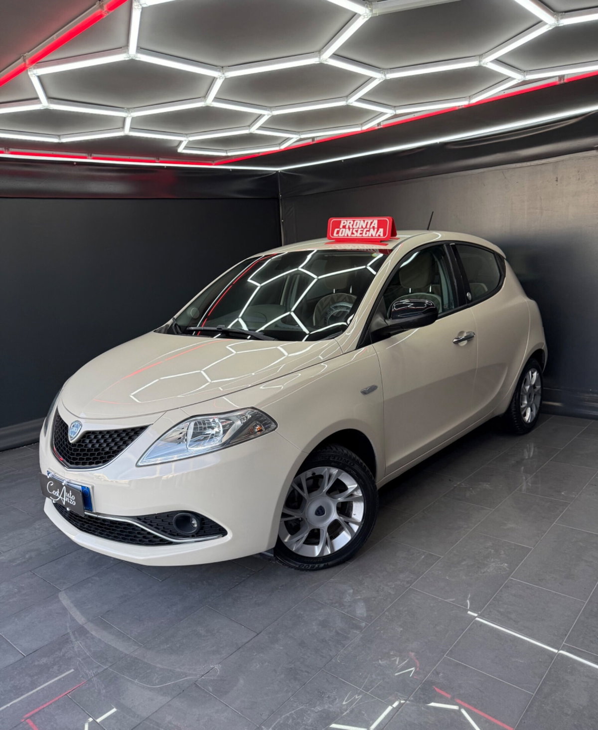 Lancia Ypsilon 1.3 MJT 16V 95 CV 5 porte S&S Platinum (4)