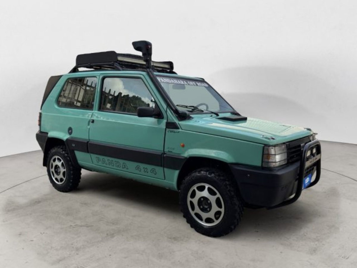 Fiat Panda 1100 i.e. cat 4x4 Trekking (6)