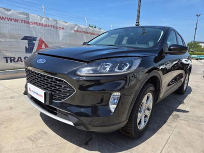 Ford Kuga 1.5 EcoBlue 120 CV aut. 2WD usata