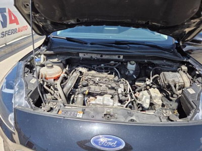 Ford Kuga 1.5 EcoBlue 120 CV aut. 2WD (19)