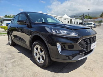 Ford Kuga 1.5 EcoBlue 120 CV aut. 2WD (6)