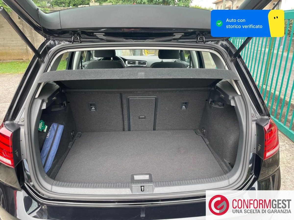 Volkswagen Golf 1.6 TDI 115 CV 5p. Business BlueMotion Technology (10)