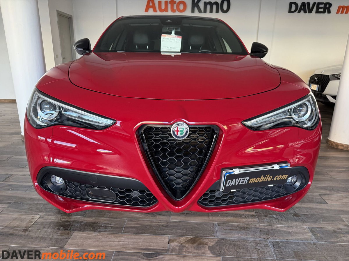 Alfa Romeo Stelvio Stelvio 2.2 Turbodiesel 210 CV AT8 Q4 Veloce Tì (2)
