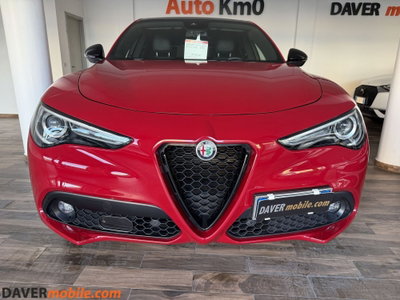 Alfa Romeo Stelvio Stelvio 2.2 Turbodiesel 210 CV AT8 Q4 Veloce Tì (2)