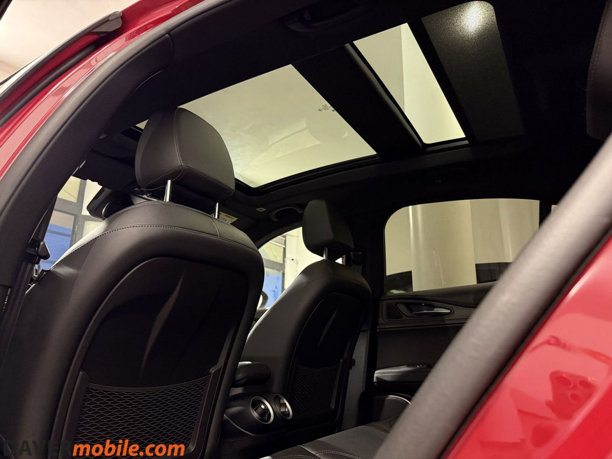 Alfa Romeo Stelvio Stelvio 2.2 Turbodiesel 210 CV AT8 Q4 Veloce Tì (9)