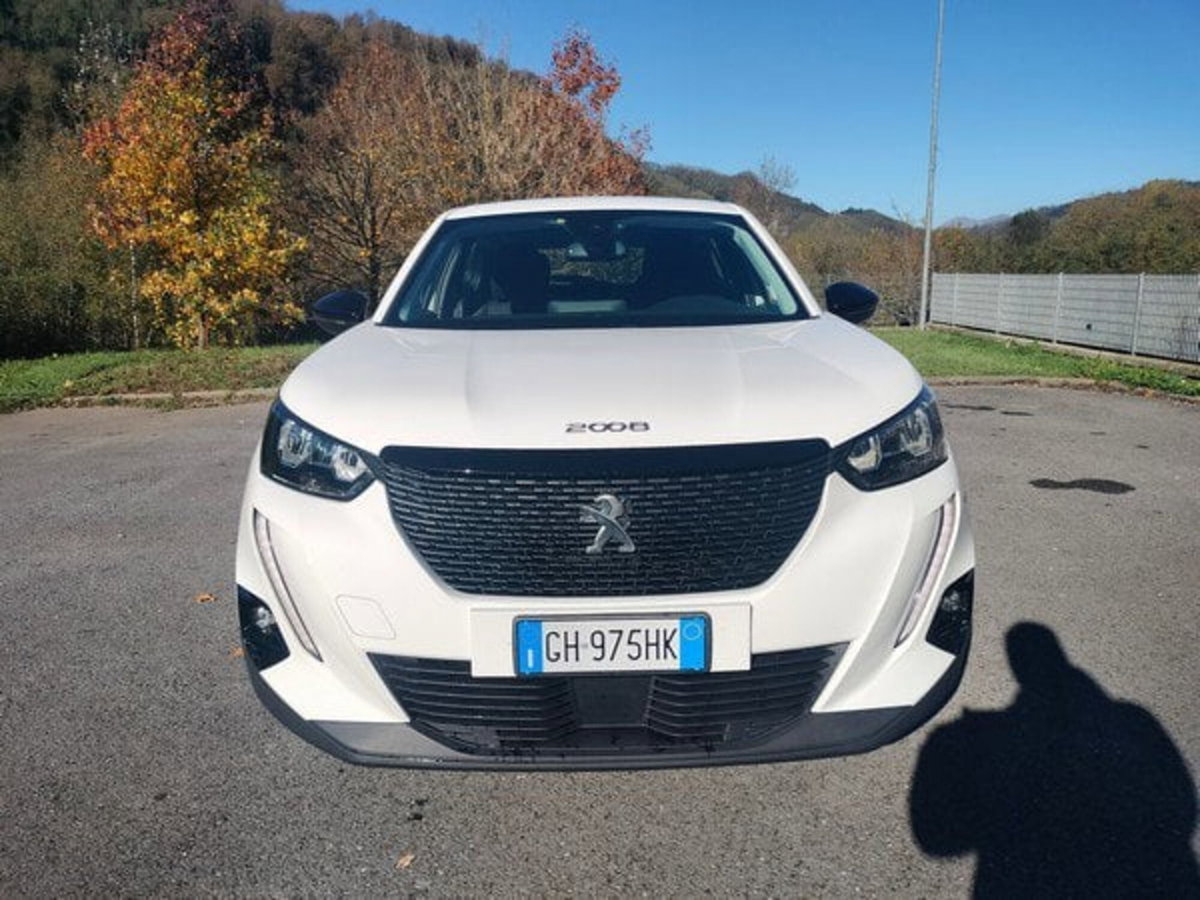 Peugeot 2008 BlueHDi 110 S&S Active Pack (2)
