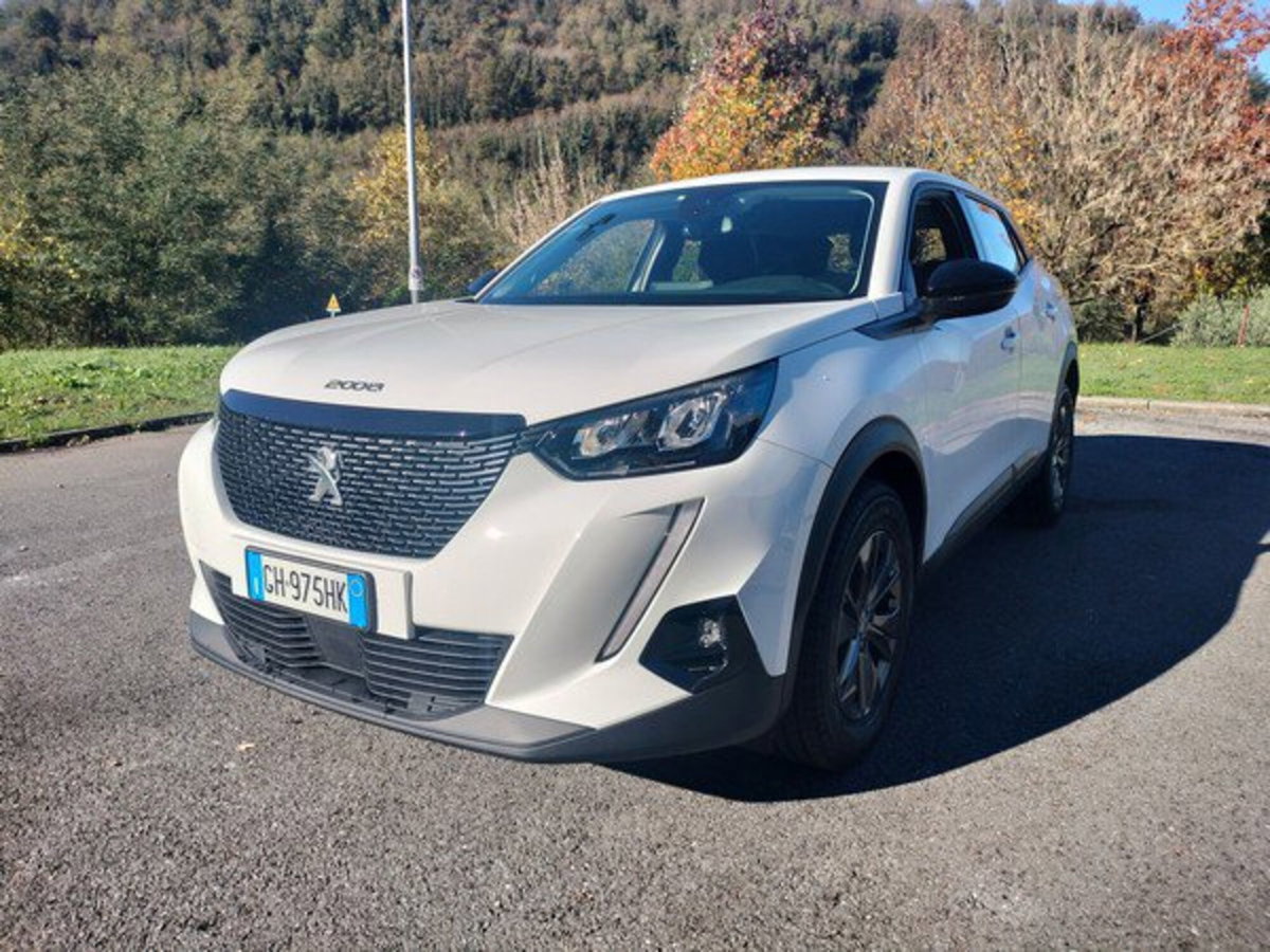 Peugeot 2008 BlueHDi 110 S&S Active Pack (3)
