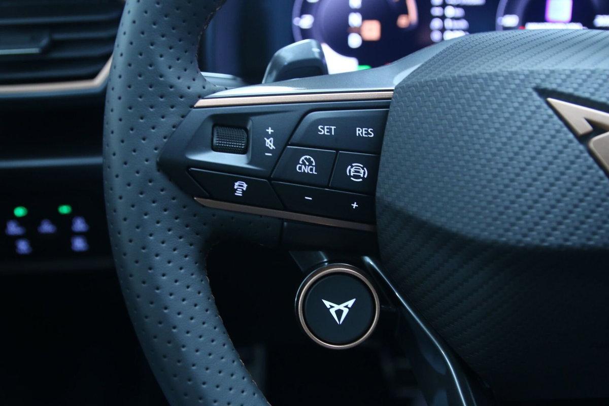 Cupra Formentor Formentor 1.5 TSI (17)