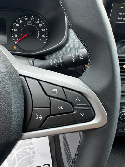 Dacia Sandero Stepway 1.2 Eco-G Expression 120cv auto (10)