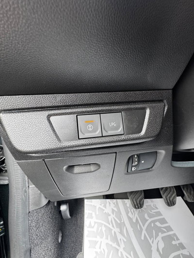 Dacia Sandero Stepway 1.2 Eco-G Expression 120cv auto (19)