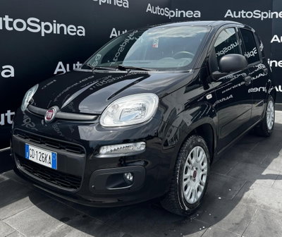 Fiat Panda 1.2 Easy usata