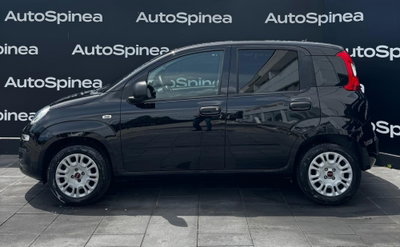 Fiat Panda 1.2 Easy (3)