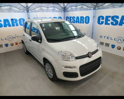 Fiat Pandina 1.0 firefly hybrid Pop s&s 65cv nuova