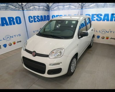 Fiat Pandina 1.0 firefly hybrid Pop s&s 65cv (2)