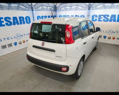 Fiat Pandina 1.0 firefly hybrid Pop s&s 65cv (3)