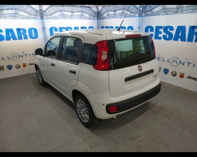 Fiat Pandina 1.0 firefly hybrid Pop s&s 65cv (4)